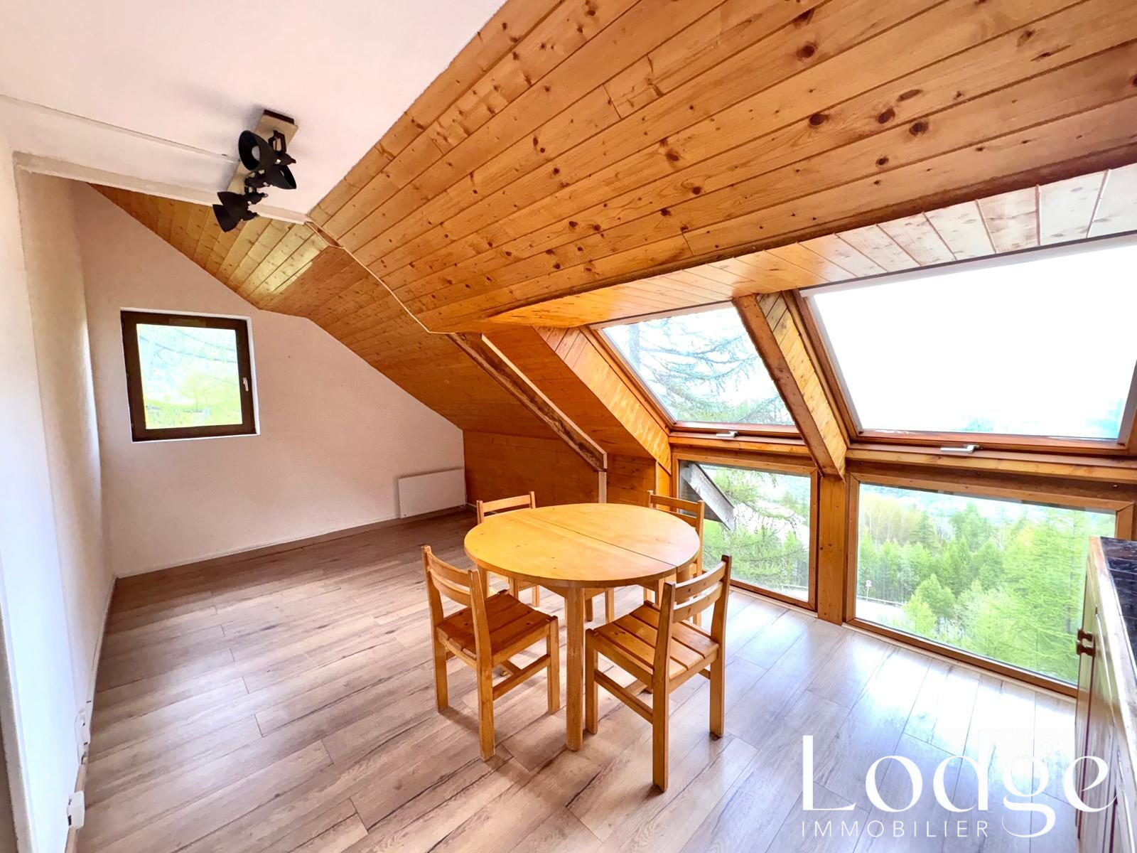 Appartement  T2 à vendre Puy-Saint-Vincent 05290