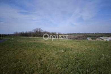 Terrain  223000 €