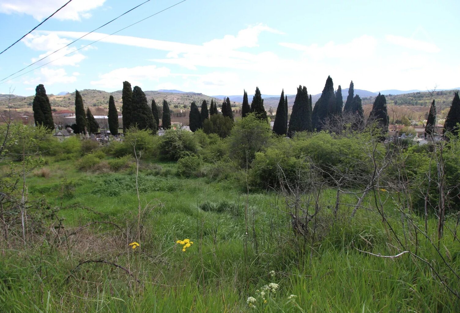 A vendre un terrain constructible de 3450m² proche du centre vil — photo 1