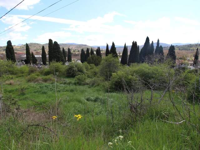 A vendre un terrain constructible de 3450m² proche du centre vil — photo du bien
