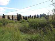 A vendre un terrain constructible de 3450m² proche du centre vil — photo 4