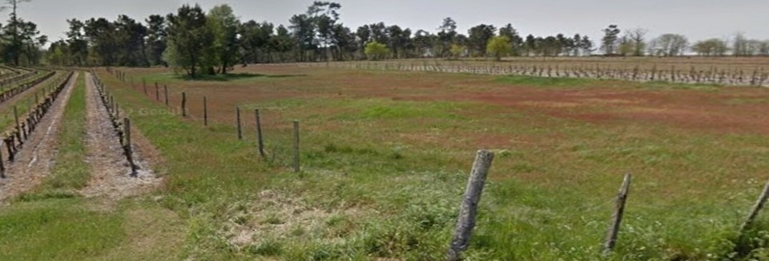 Terrain  1660 m² à vendre à Saint-Savin (33920)