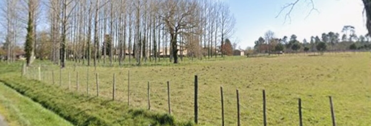 Terrain  1800 m² à vendre à Saint-Savin (33920)