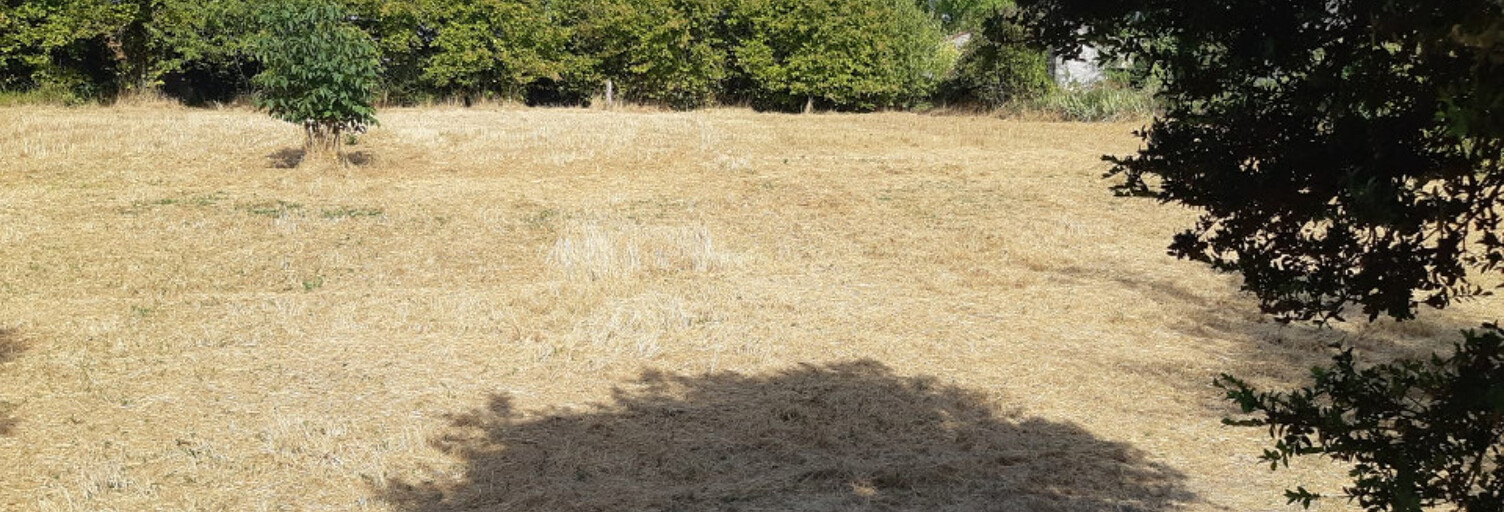 Terrain  1744 m² à vendre à Matha (17160)