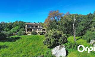 Maison 5 Pièces 270 m² à vendre à Sotta (20146)