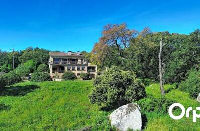 Villa 270 m 2 - Proche Porto-Vecchio — photo du bien