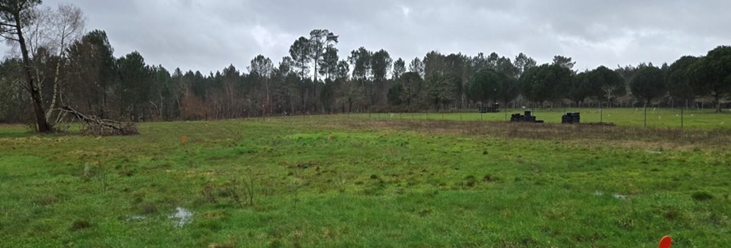 Terrain  1980 m² à vendre à Saint-Savin (33920)