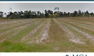 Terrain  1660 m² à vendre à Saint-Savin (33920)