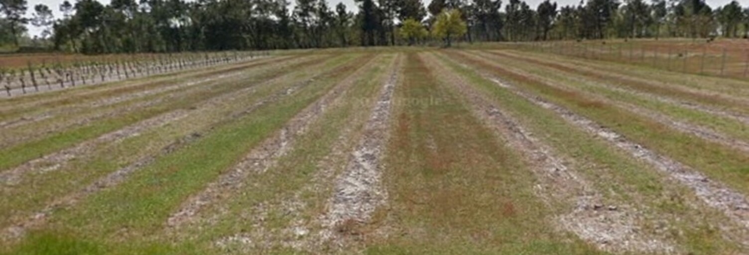 Terrain  1660 m² à vendre à Saint-Savin (33920)