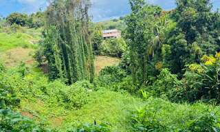 Terrain  1320 m² à vendre à Sainte-Marie (97230)