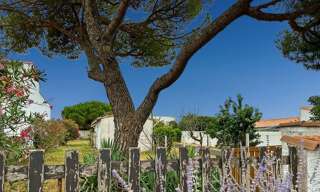 Maison 3 Pièces 57 m² à vendre à La Flotte (17630)