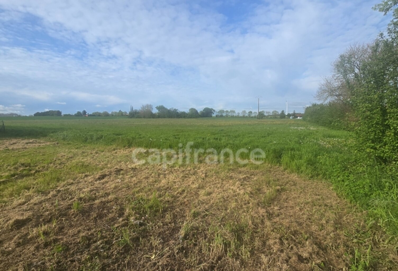 Terrain à vendre  Nachamps (17)proche SURGERES et SAINT JEAN D'ANGELY — photo 1