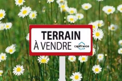 Terrain  56000 €