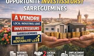 Local industriel 18 Pièces 2835 m² à vendre à Sarreguemines (57200)