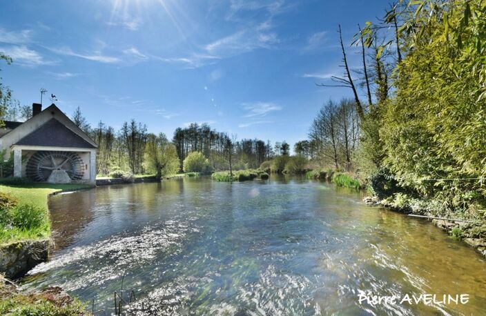Maison à vendre 11 pièces proche de CLOYES LES TROIS RIVIERES (28) — photo 2