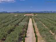 Propriété d’exception de 290 m2 au cœur de la Vallée des Baux-de-Provence sur 25 hectares 7 pièces MOULES (13) — photo 4