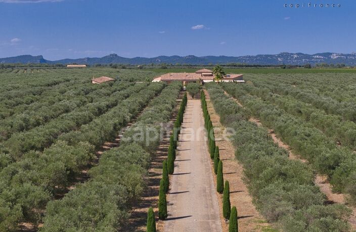 Propriété d’exception de 290 m2 au cœur de la Vallée des Baux-de-Provence sur 25 hectares 7 pièces MOULES (13) — photo 4