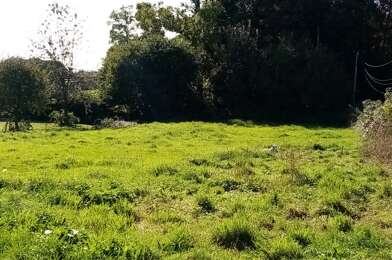 Terrain  48000 €