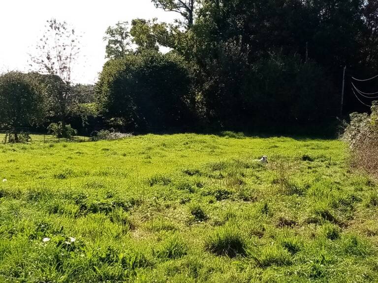 Dpt Seine Maritime (76), à vendre CANY-BARVILLE terrain à bâtir — photo 1
