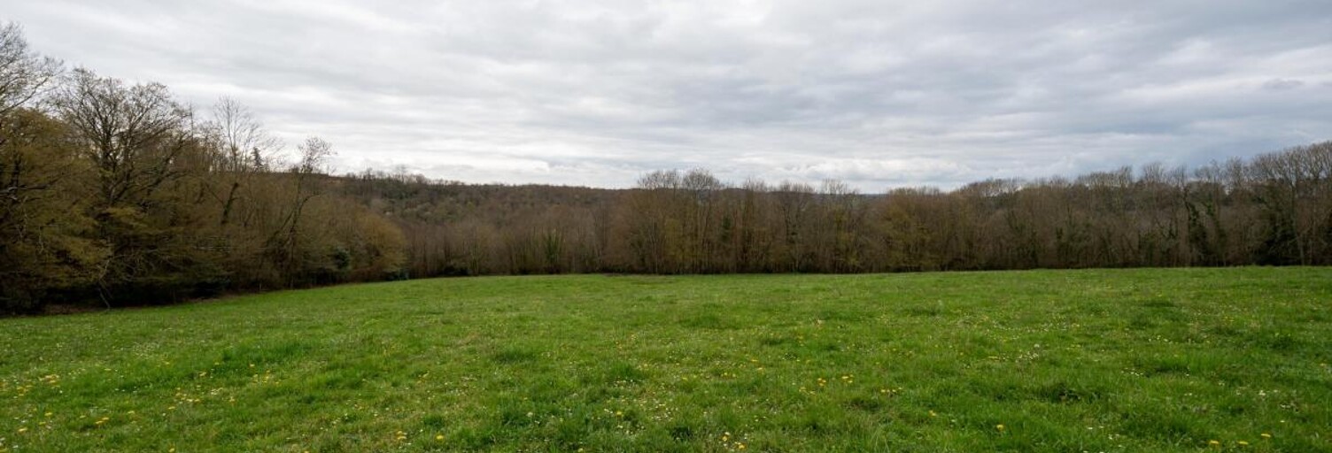 Terrain  88086 m² à vendre à Lalongue (64350)