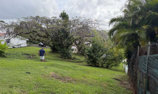 Maison 8 Pièces 210 m² à vendre à Fort-de-France (97200)