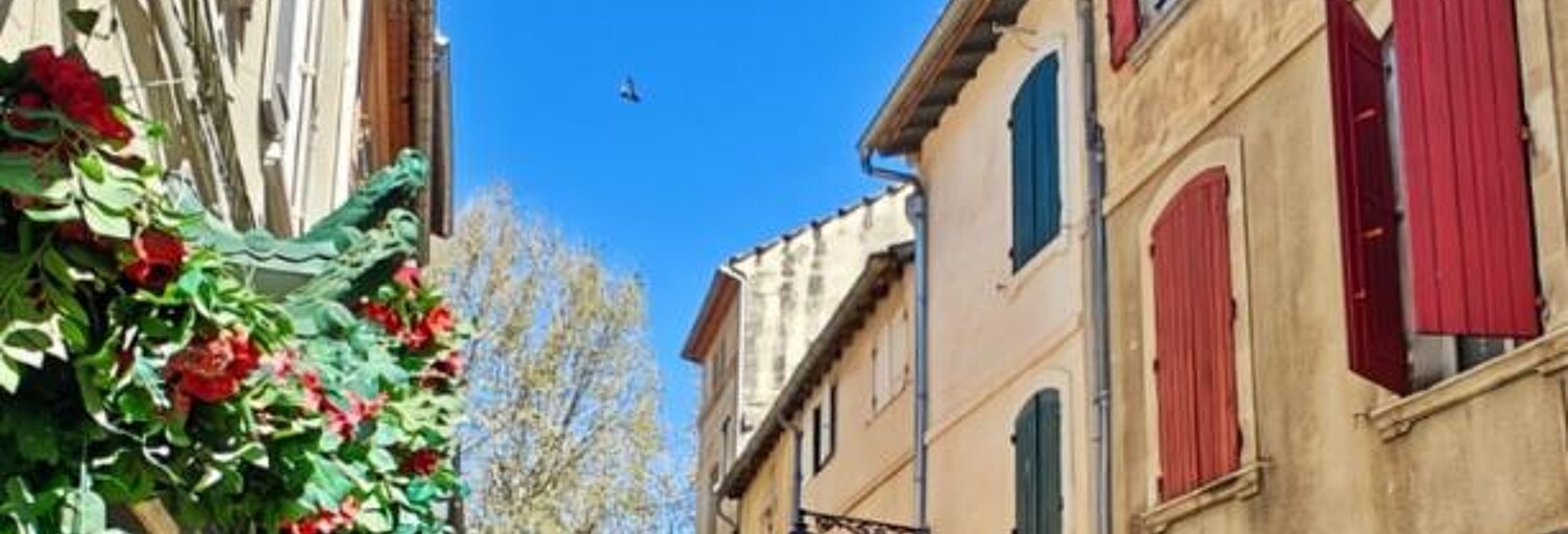 Maison 6 Pièces 200 m² à vendre à Arles (13200)