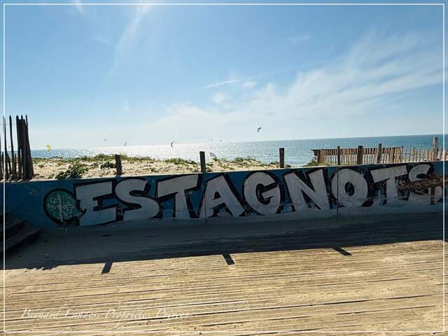 Appartement  plein pied  plage des estagnots à Seignosse 4 pièce(s) 66.2 m2 — photo du bien