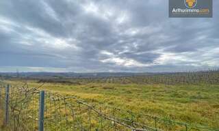 Terrain  1633 m² à vendre à Pellegrue (33790)