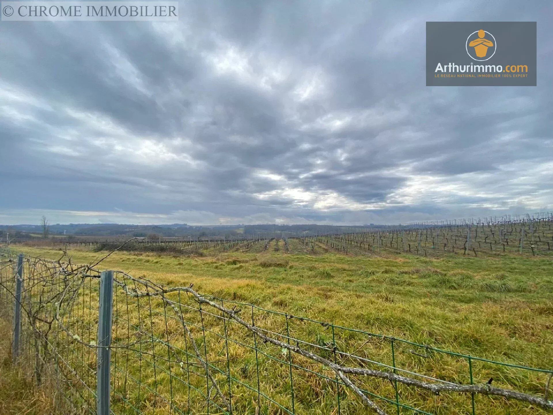Vente Terrain 1633 m2 à Pellegrue · 28 000 €