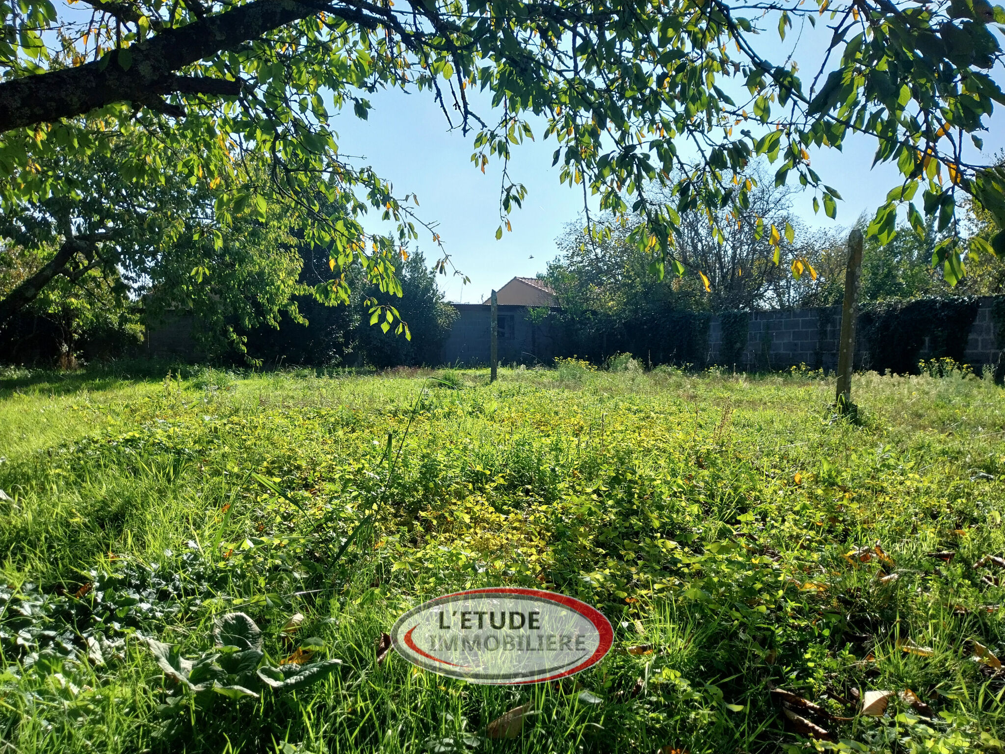 Agence immobilière de L'Etude Immobilière