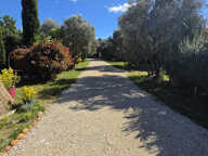 Pont de Crau, sur 2 074 m2 de terrain — photo 3
