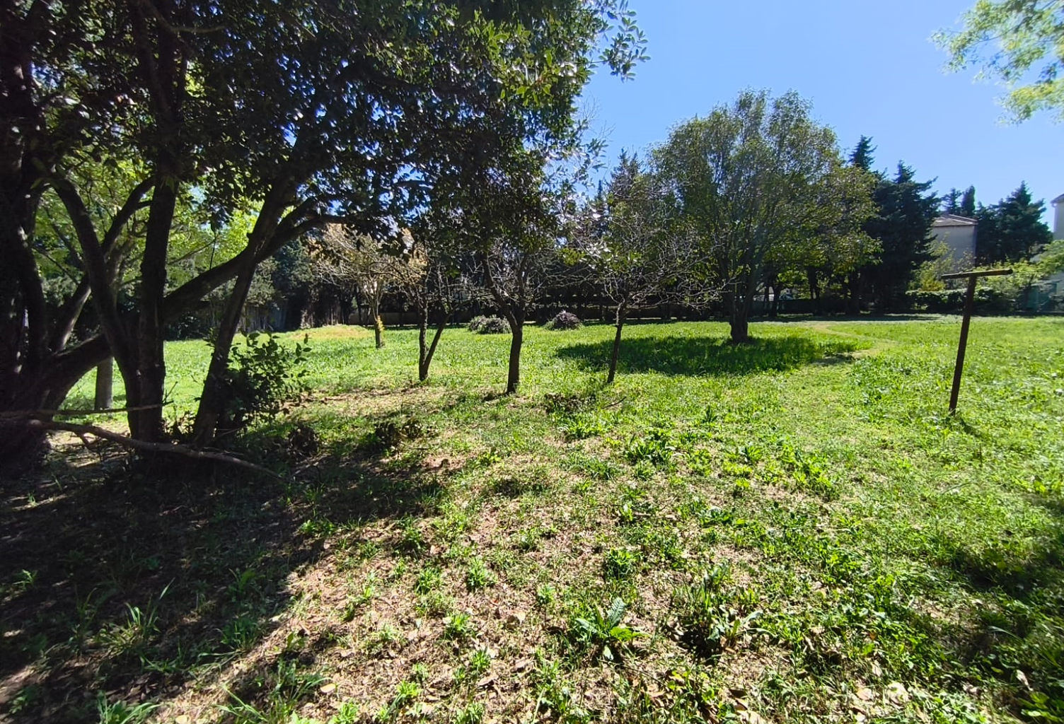 DPT(13) ARLES TERRAIN CONSTRUCTIBLE AVEC PLUSIEURS BATIMENTS — photo 1