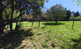 Terrain  3450 m² à vendre à Arles (13200)