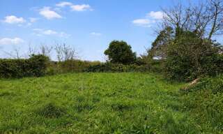 Terrain  725 m² à vendre à Vicq-sur-Mer (50330)