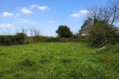 Terrain  54500 €