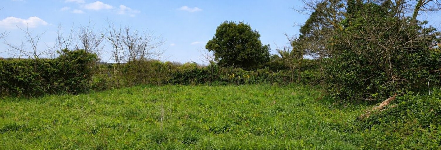 Terrain  725 m² à vendre à Vicq-sur-Mer (50330)