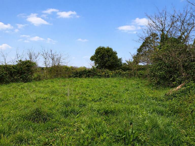 Terrain constructible — photo 1