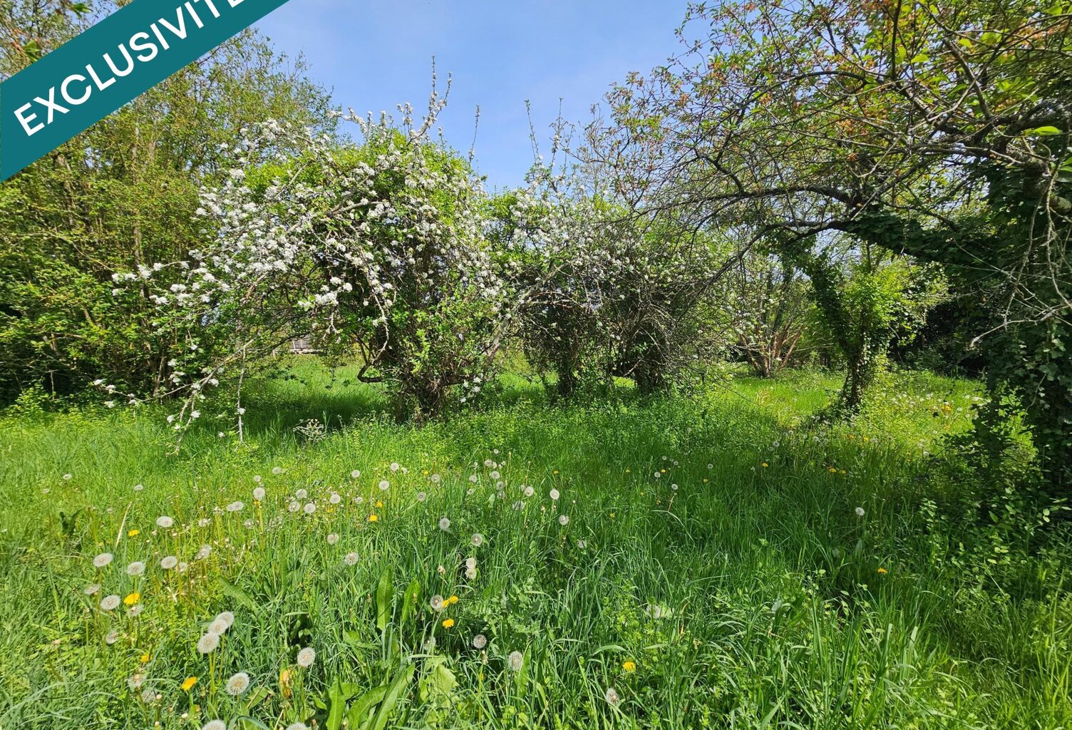 Terrain plat , Environnement calme, Proche commerces — photo 1