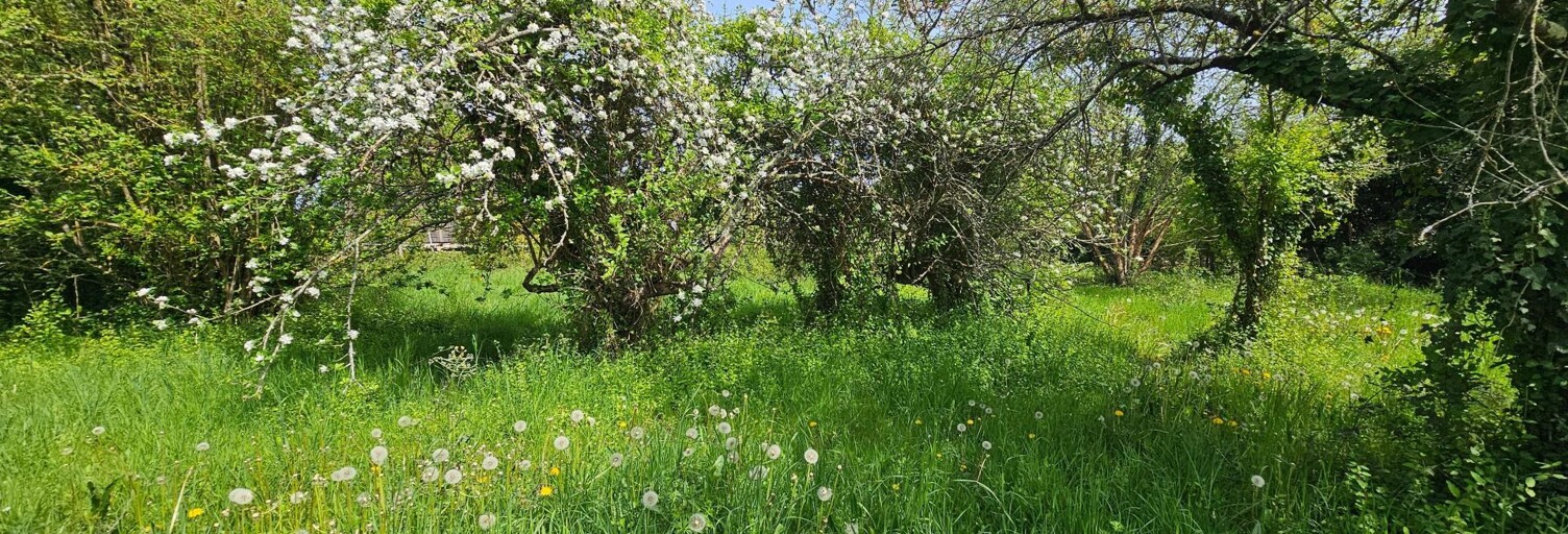 Terrain  1160 m² à vendre à Chasseneuil (36800)