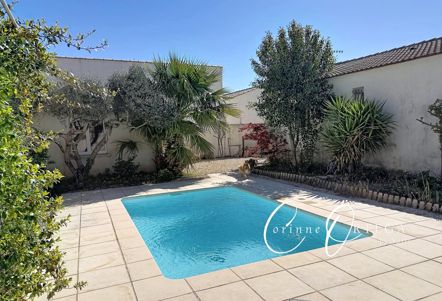 Maison plain pied - T 4 - Garage et Piscine — photo 1