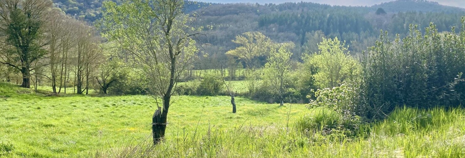 Terrain  3175 m² à vendre à Courtauly (11230)