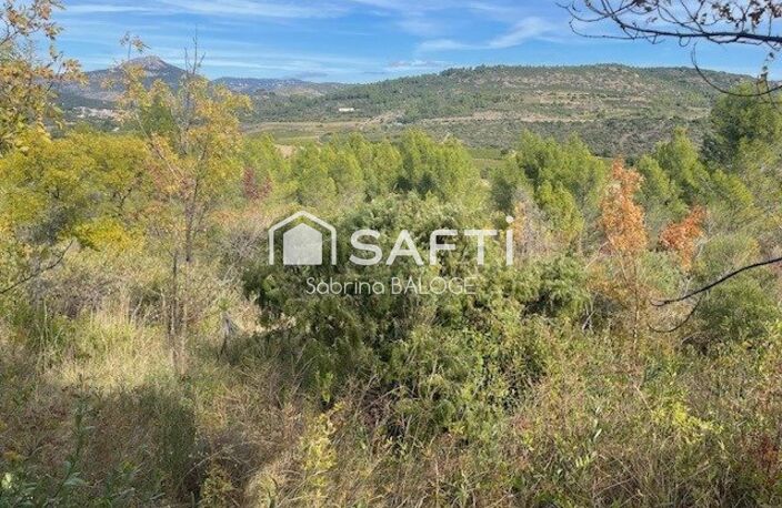 Terrain Agricole de 31000m2 avec Mazet cadastré — photo 4