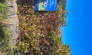 Terrain 1368 m² à construire Saint-Paul-lès-Durance (13115)