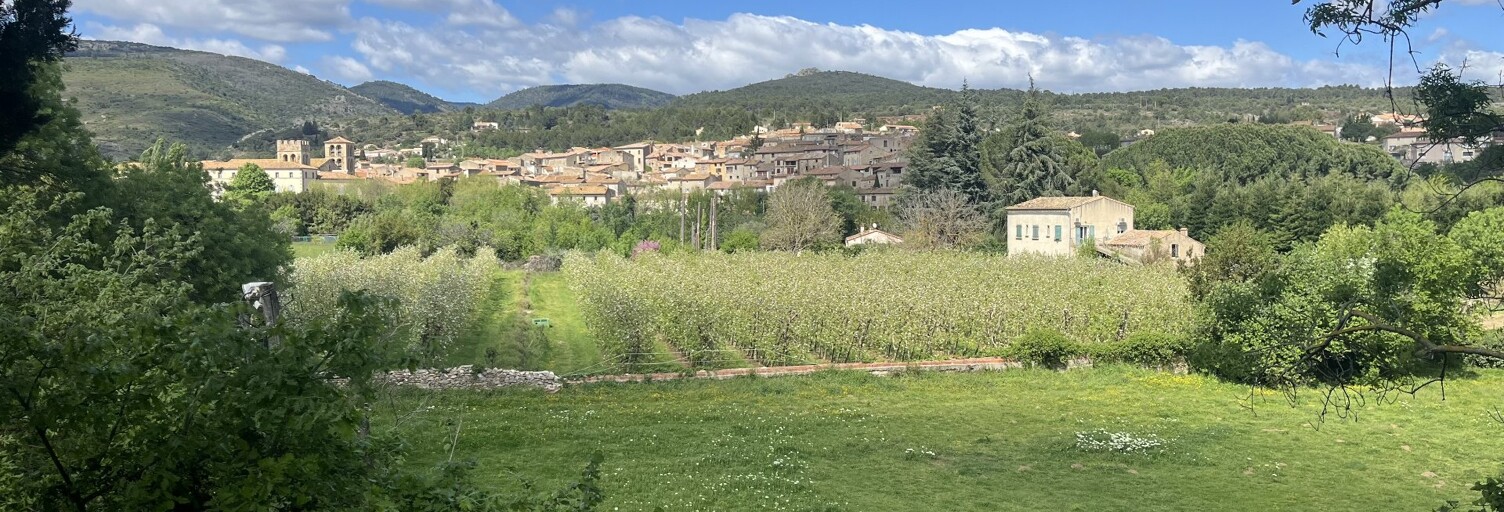 Maison 5 Pièces 214 m² à vendre à Caunes-Minervois (11160)