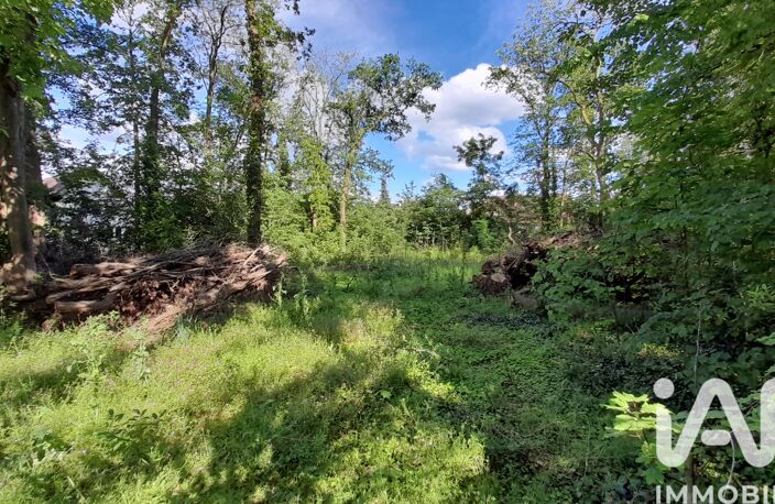 Vente Terrain à bâtir 2 595 m&sup2; — photo 4