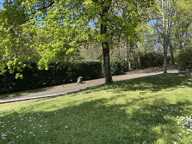 Maison contemporaine — photo 3
