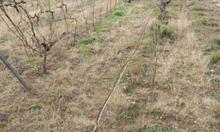 Terrain  65360 m² à vendre à Caramany (66720)