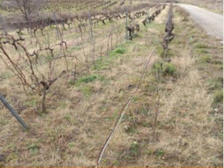 Vente Terrain agricole 65 360 m&sup2; — photo 1