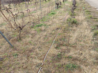 Vente Terrain agricole 65 360 m&sup2; — photo 3