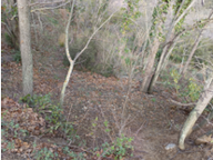 Vente Terrain agricole 65 360 m&sup2; — photo 4